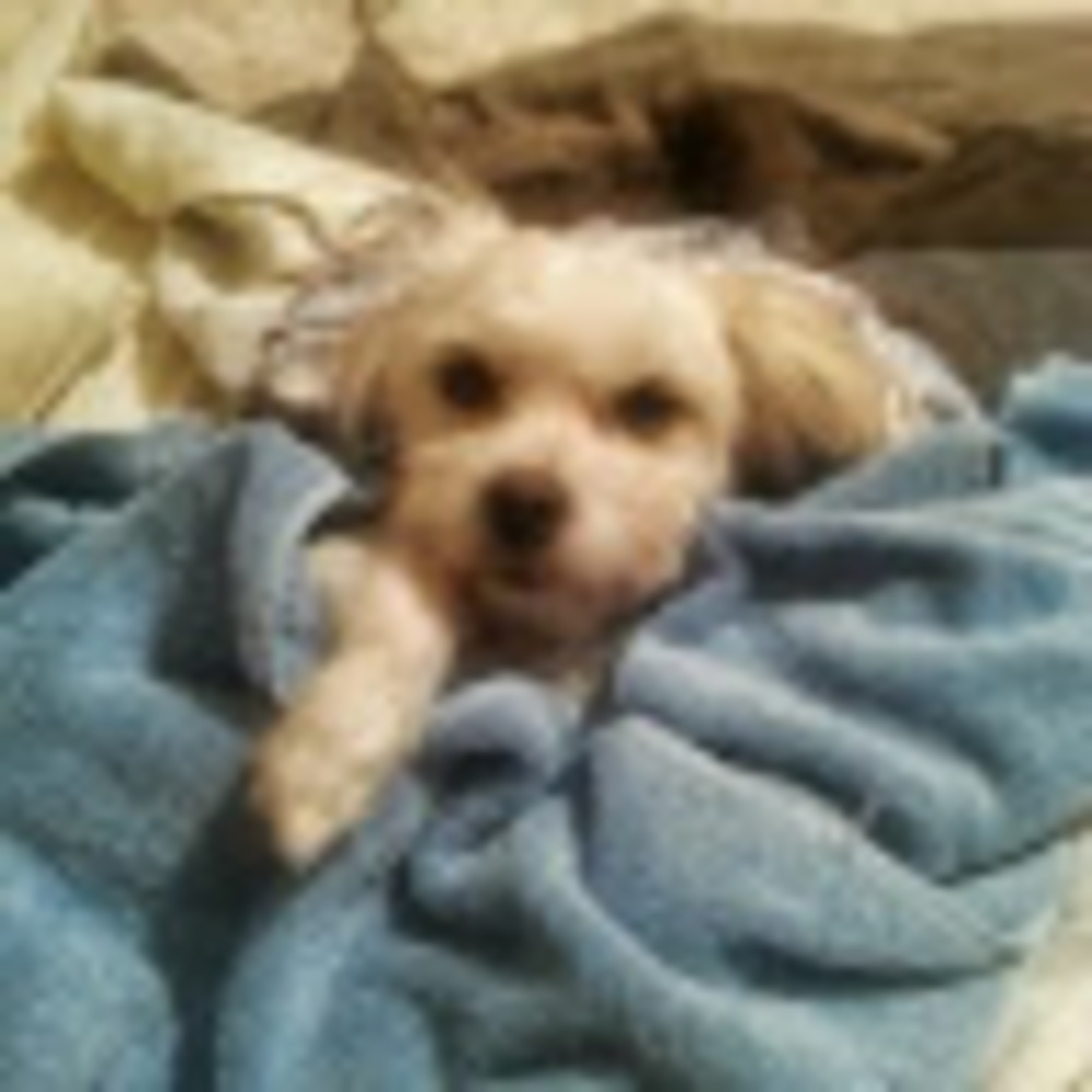 Meet your Posher, Eileen